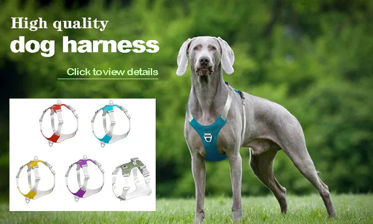 Ultimate Pet Spa Brush: 2-in-1