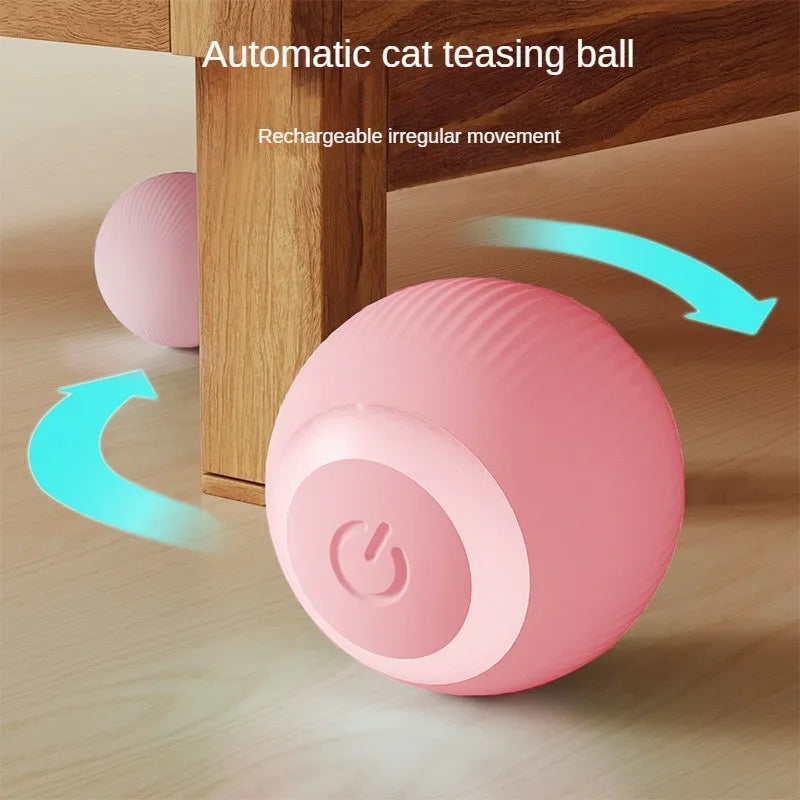 CatChase