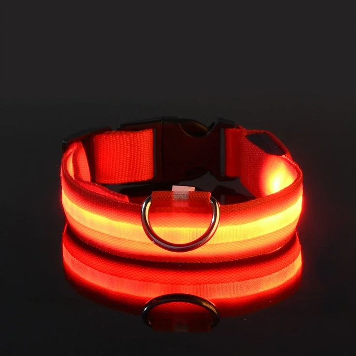 Hundehalsband aus Nylon, LED-Nachtsicherheitsblinken, im Dunkeln leuchtende Hundeleine, Haustierhunde, leuchtendes fluoreszierendes Hundezubehörhalsband