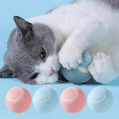 CatChase