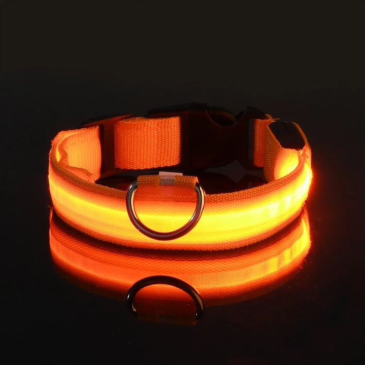 Hundehalsband aus Nylon, LED-Nachtsicherheitsblinken, im Dunkeln leuchtende Hundeleine, Haustierhunde, leuchtendes fluoreszierendes Hundezubehörhalsband