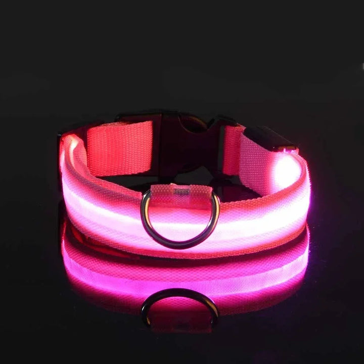 Hundehalsband aus Nylon, LED-Nachtsicherheitsblinken, im Dunkeln leuchtende Hundeleine, Haustierhunde, leuchtendes fluoreszierendes Hundezubehörhalsband