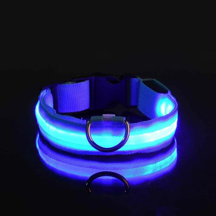 Hundehalsband aus Nylon, LED-Nachtsicherheitsblinken, im Dunkeln leuchtende Hundeleine, Haustierhunde, leuchtendes fluoreszierendes Hundezubehörhalsband