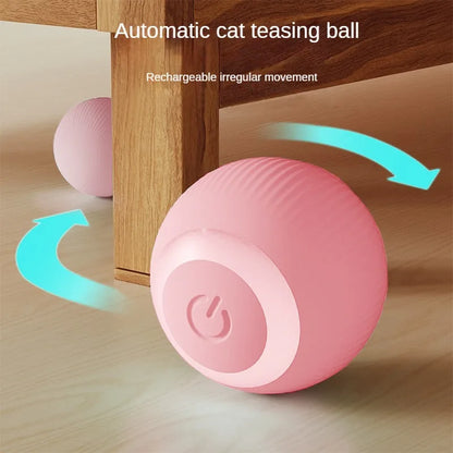 CatChase