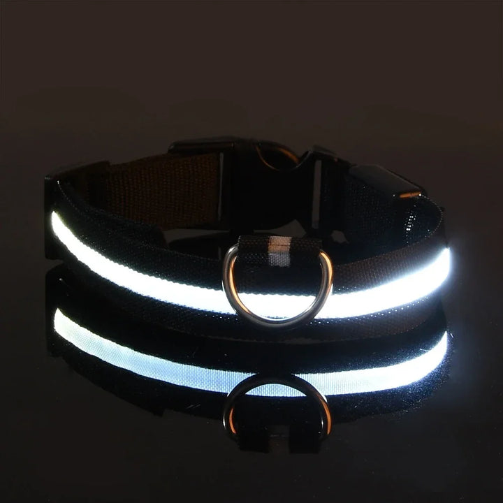 Hundehalsband aus Nylon, LED-Nachtsicherheitsblinken, im Dunkeln leuchtende Hundeleine, Haustierhunde, leuchtendes fluoreszierendes Hundezubehörhalsband