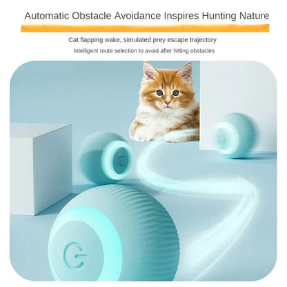 CatChase