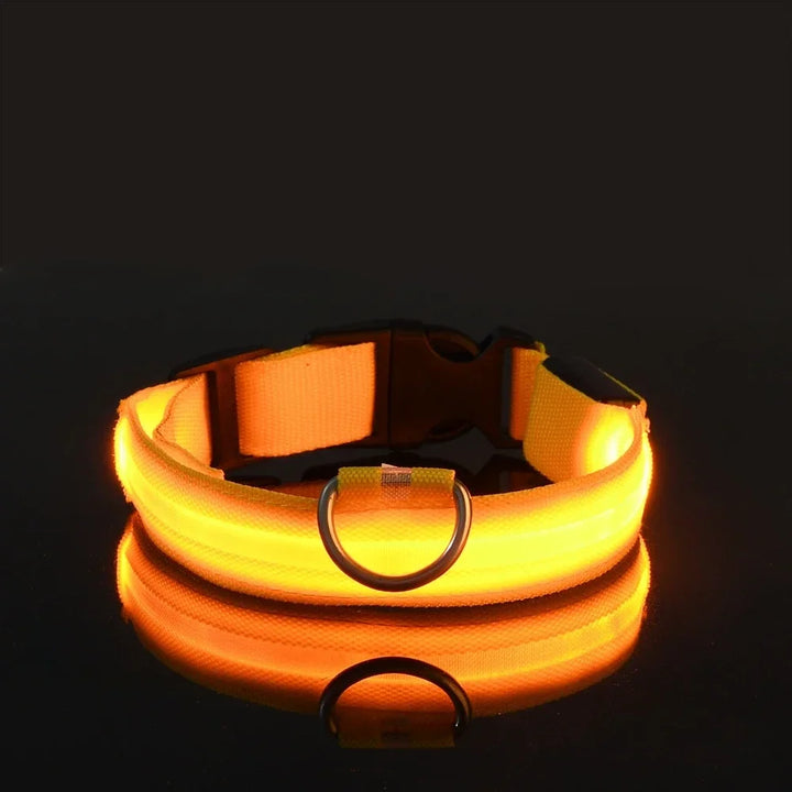 NightGlow CollarNightGlow Collar