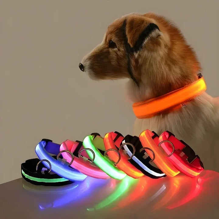 Hundehalsband aus Nylon, LED-Nachtsicherheitsblinken, im Dunkeln leuchtende Hundeleine, Haustierhunde, leuchtendes fluoreszierendes Hundezubehörhalsband