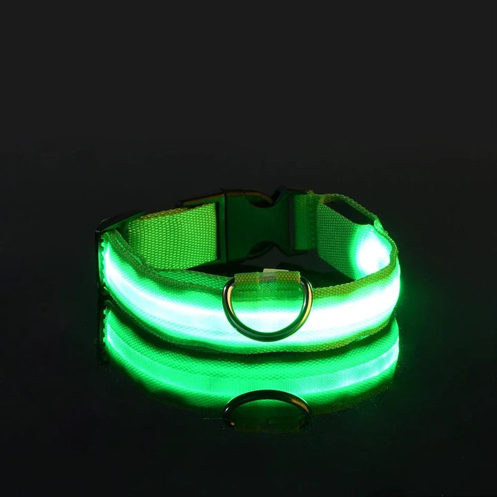 Hundehalsband aus Nylon, LED-Nachtsicherheitsblinken, im Dunkeln leuchtende Hundeleine, Haustierhunde, leuchtendes fluoreszierendes Hundezubehörhalsband